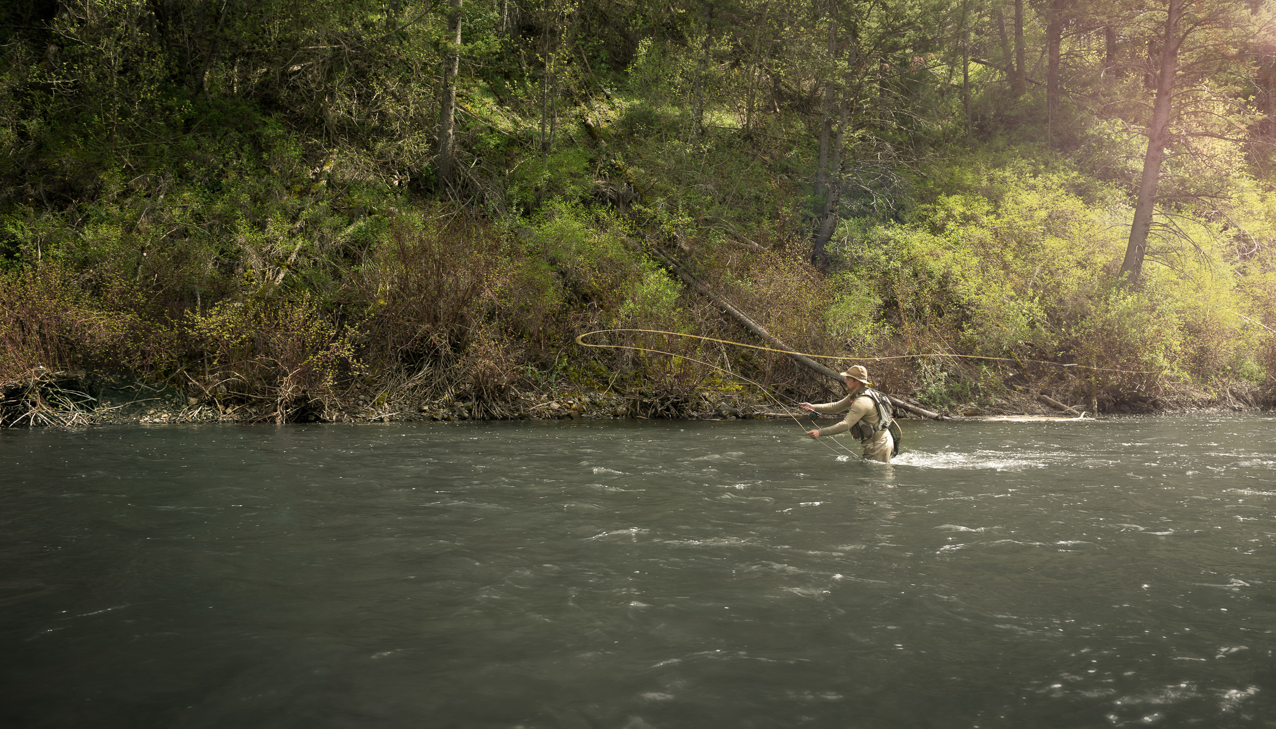 Provo river Fly fishing