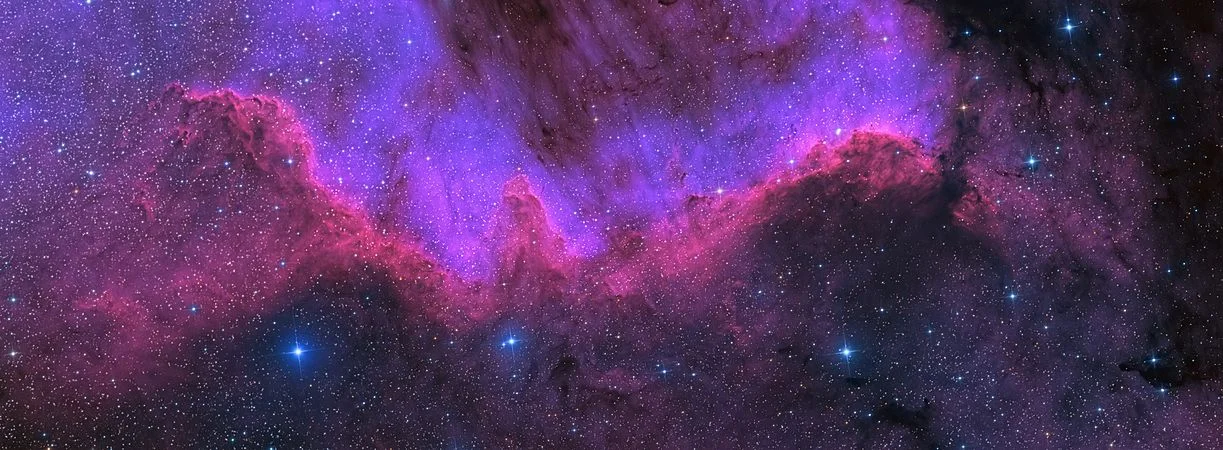 Cygnus_Wall.jpg