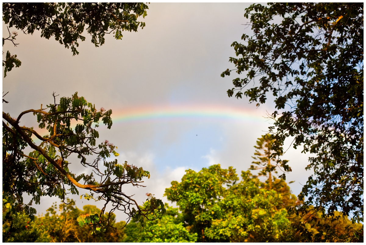 sandiegochildrenphotography_420.jpg