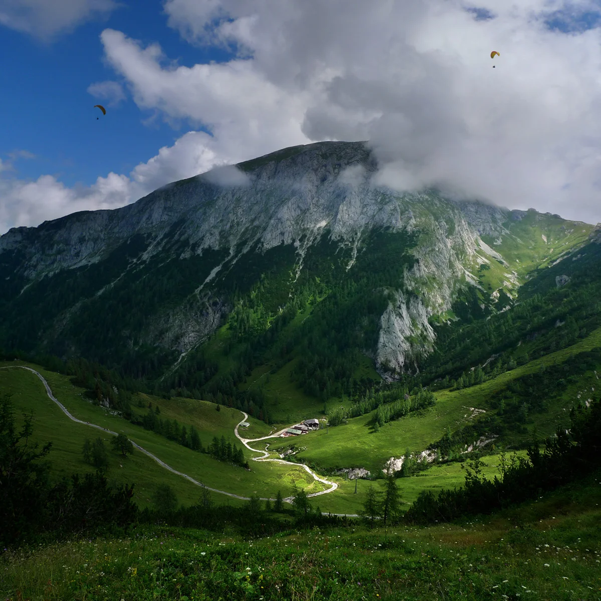 NoonFilmScape_001.jpg