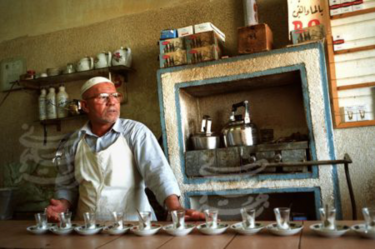NoonFilmScape_053.jpg