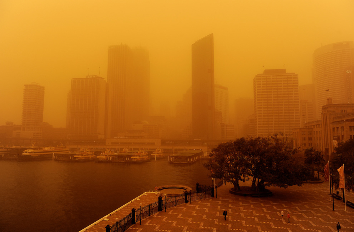 NoonFilmScape_061.jpg