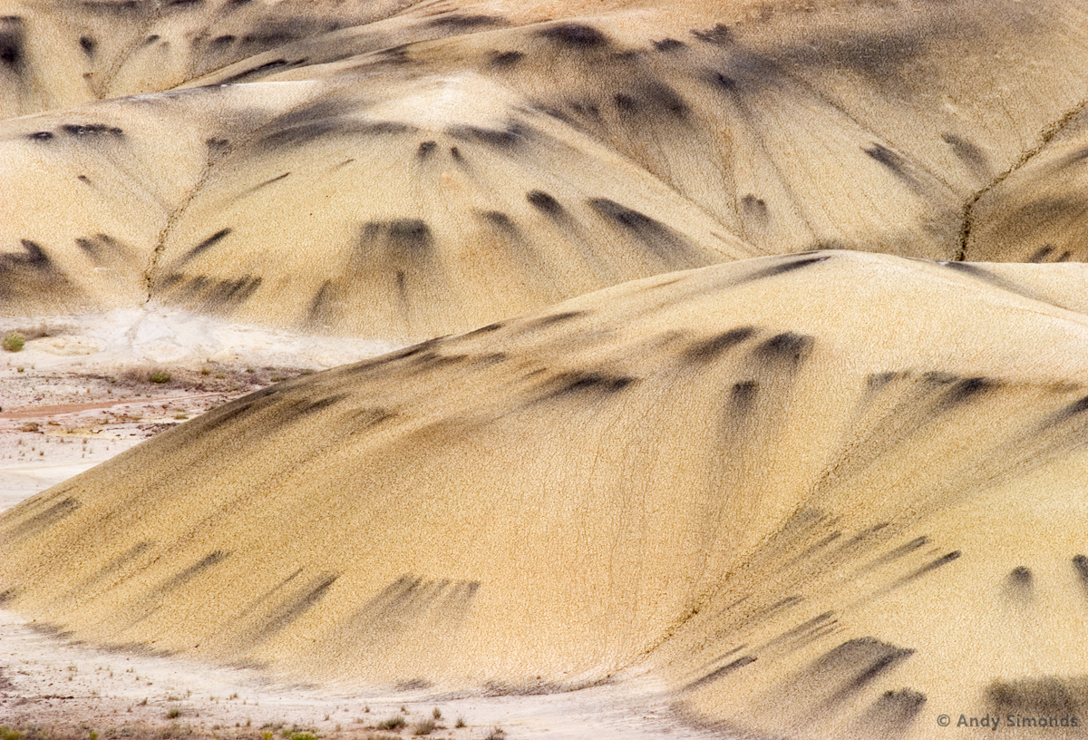 NoonFilmScape_074.jpg