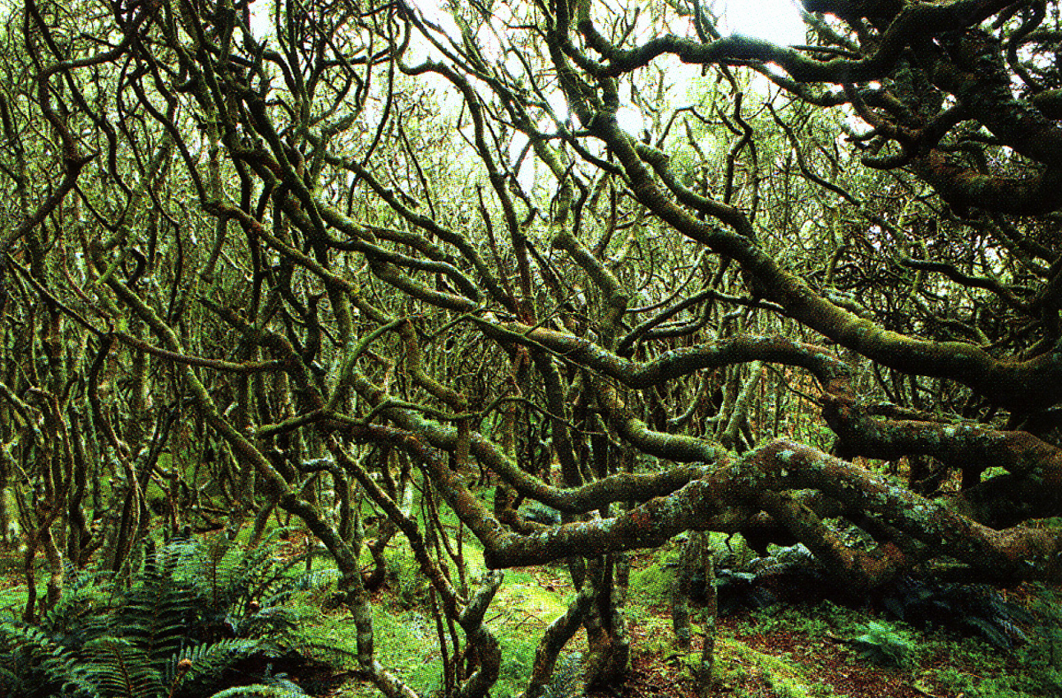 NoonFilmScape_110.jpg