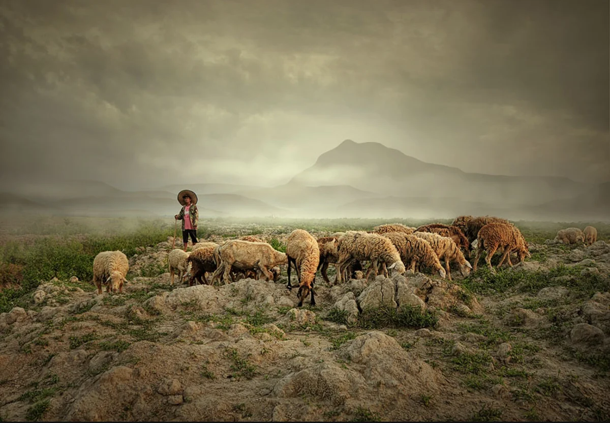 NoonFilmScape_120.jpg
