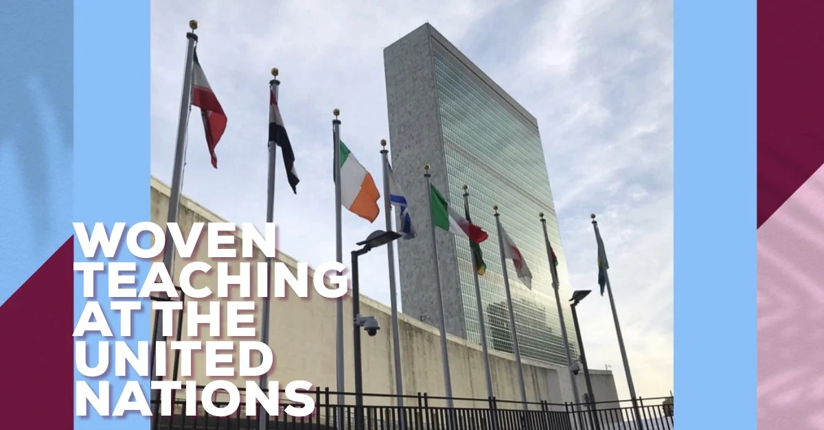 UN Youth ECOSOC Forum and Youth Activism