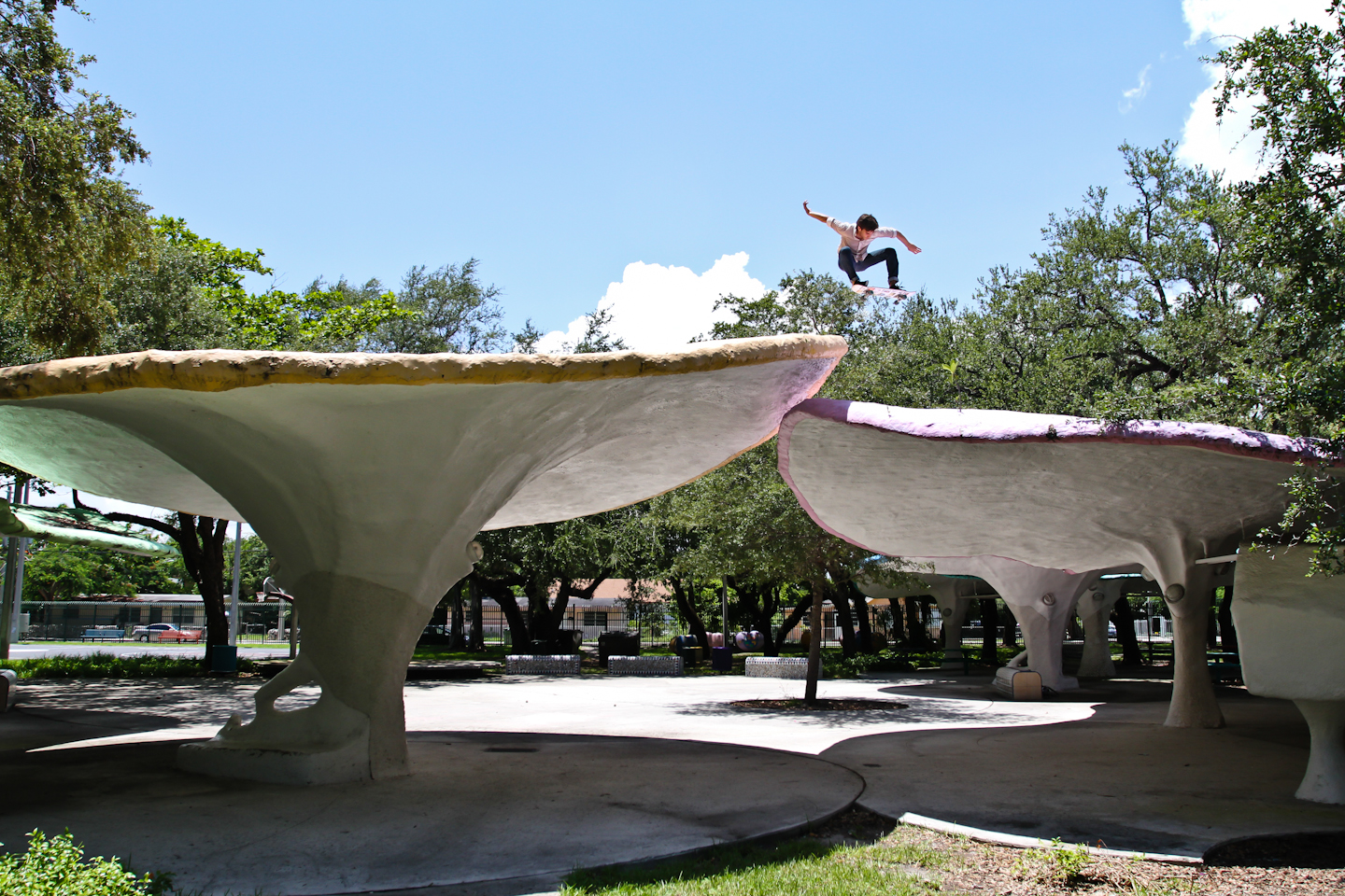 Richard Quintero | Ollie | Coconut Grove, FL