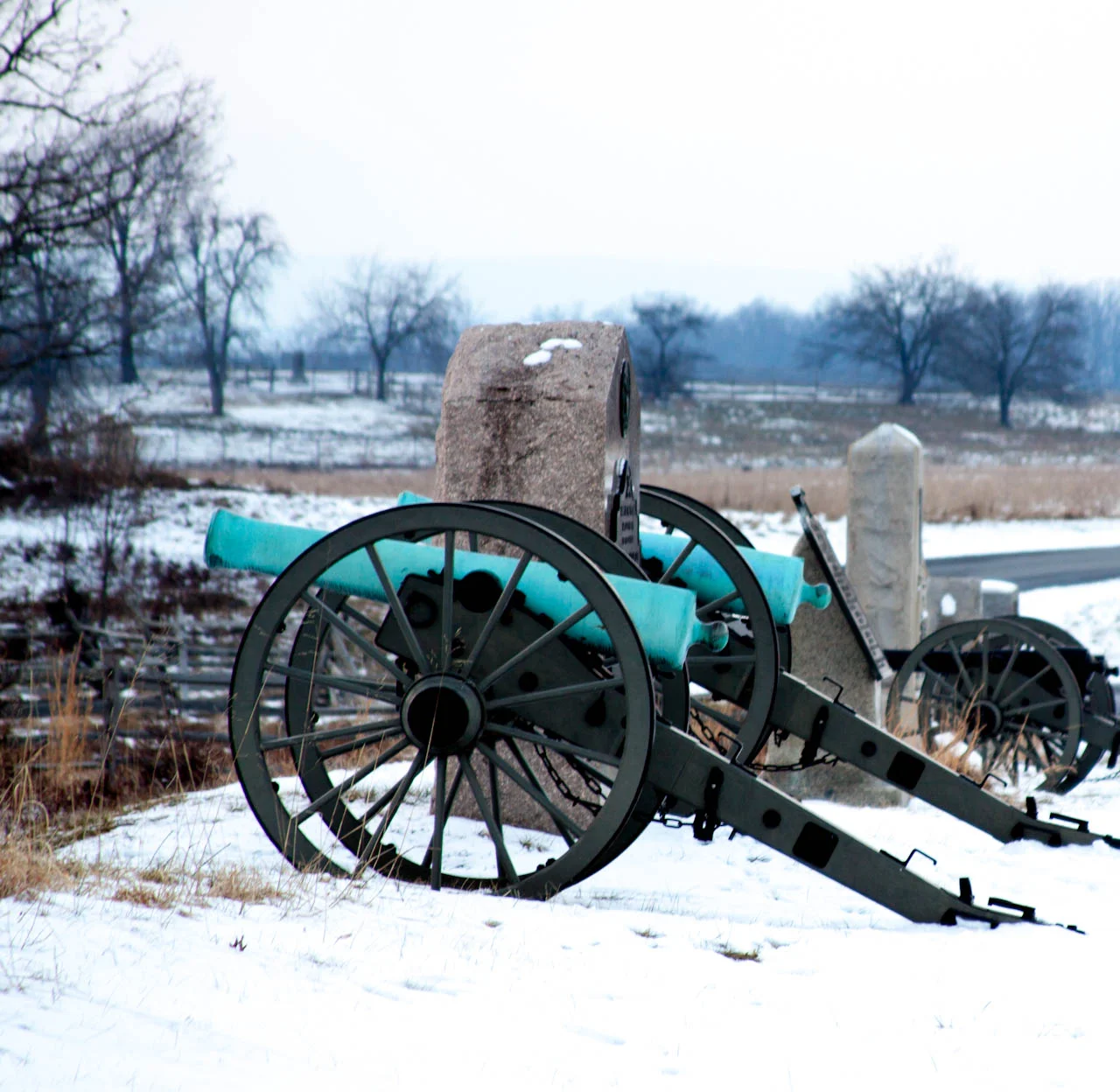 cannons.jpg