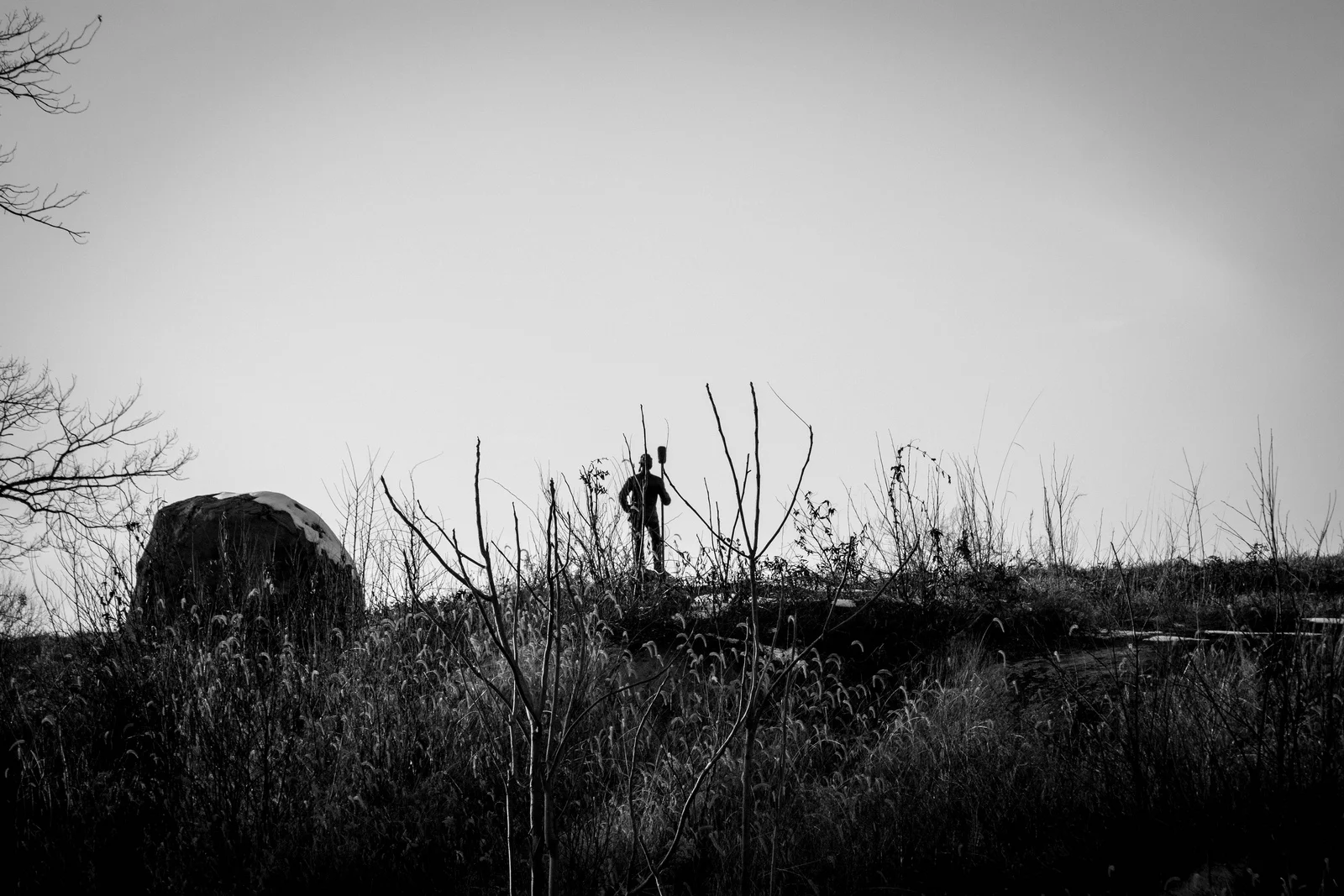 8493744948_0cf24a19fc_h.jpg
