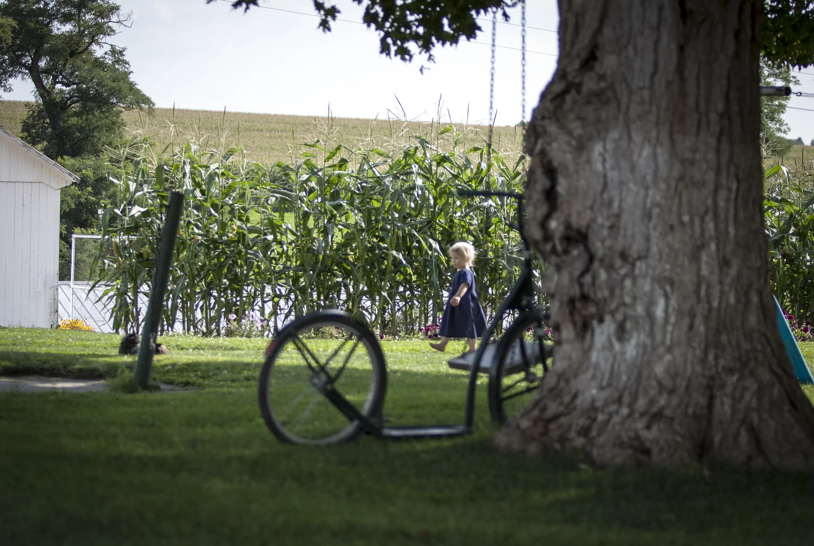 A child playing on the farm.