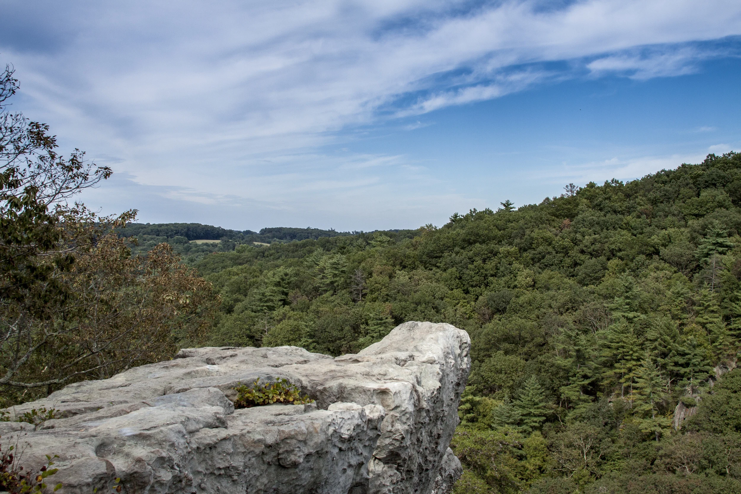 _MG_2943.jpg