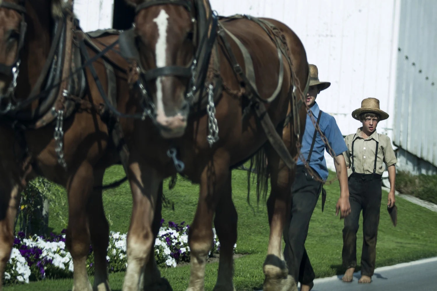 This might be in my top 5 fave pics I've ever taken. I just really like it. Amish Country.