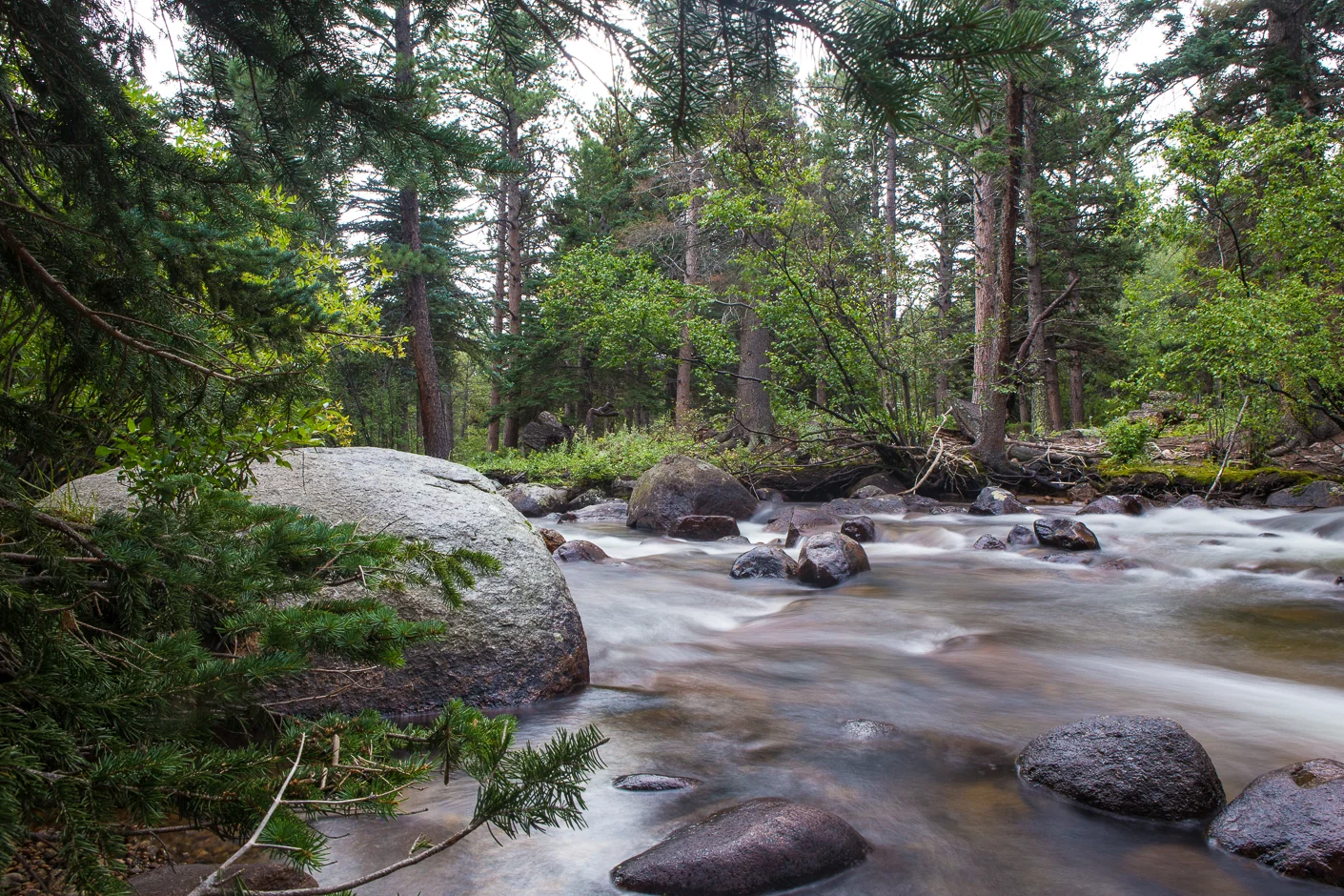 www.brownsphotoart.com
