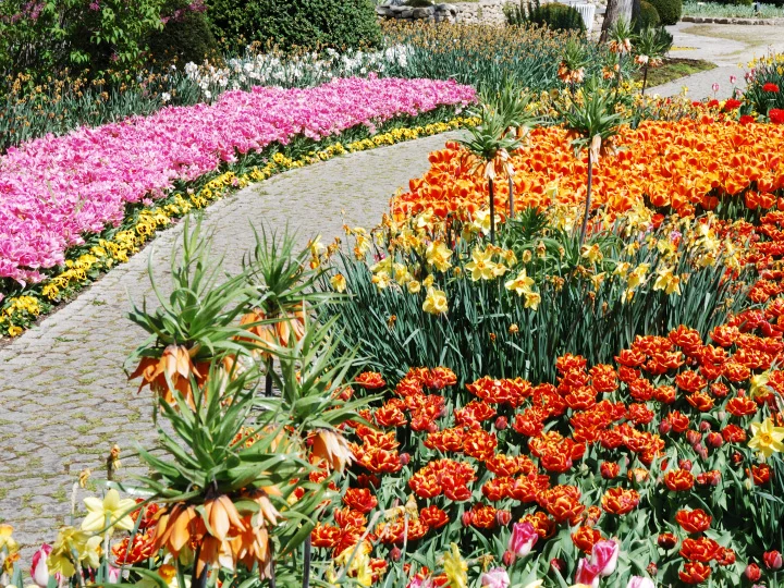 Garden Club Elects New Officers