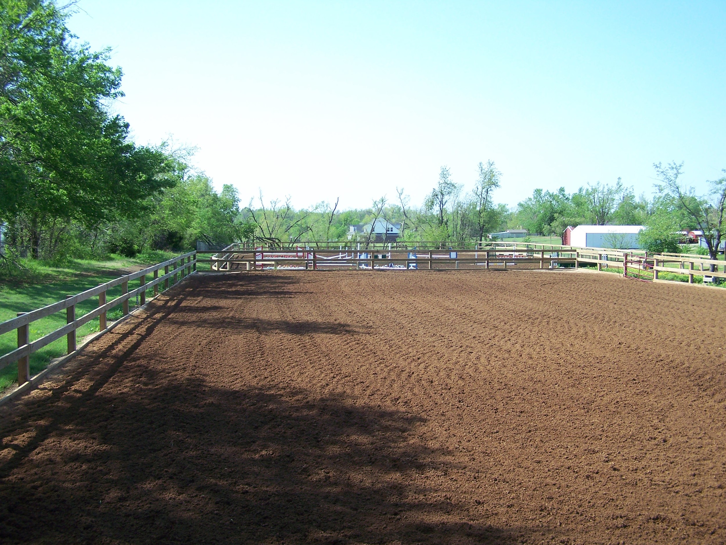 9-dressage.jpg