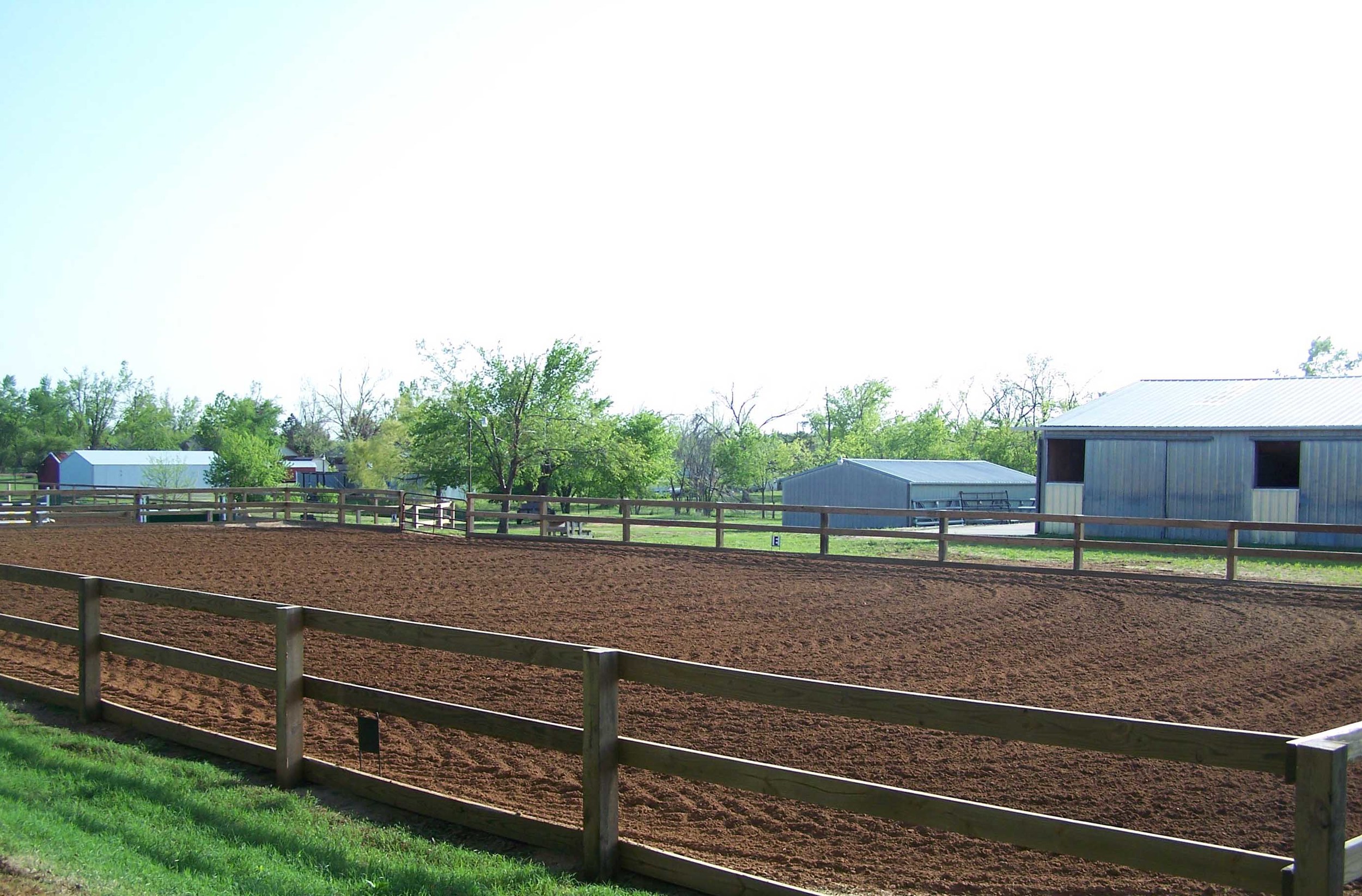 10-dressage_1.jpg
