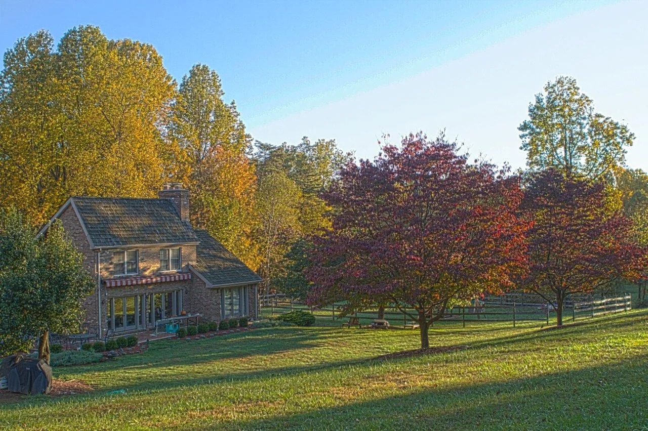 Backyard.jpg