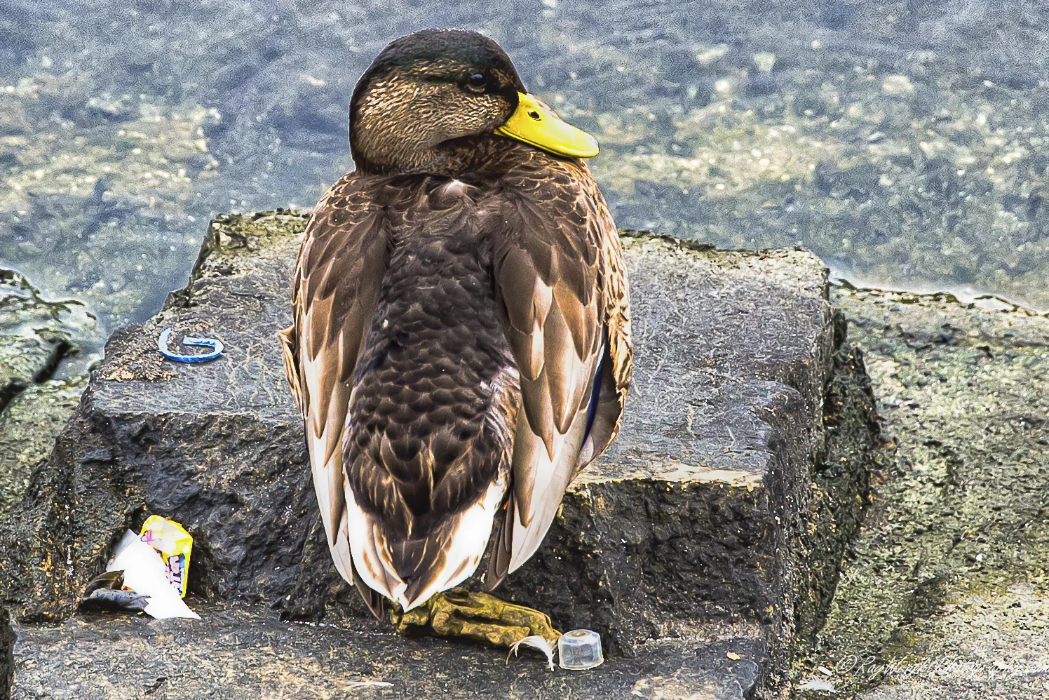 Vacation 2013 085-Edit.jpg