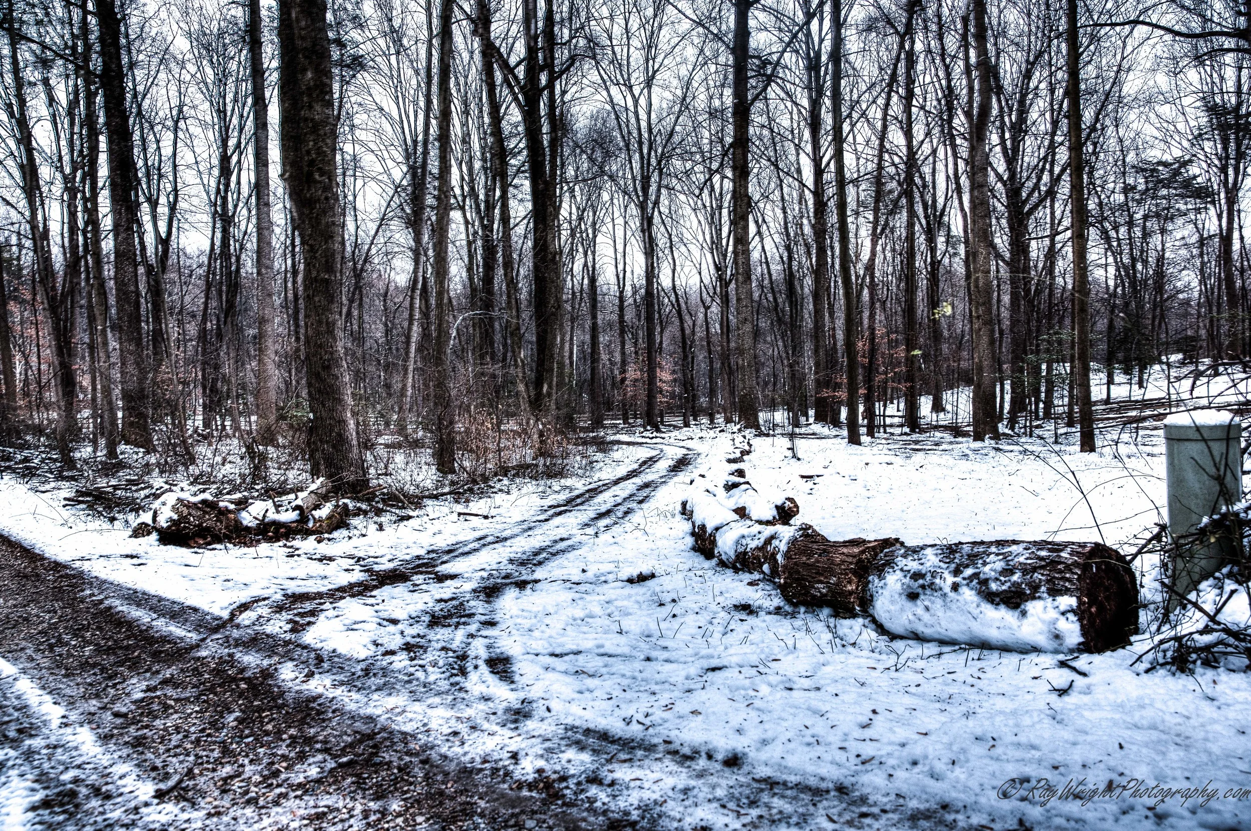016_7_8.jpg