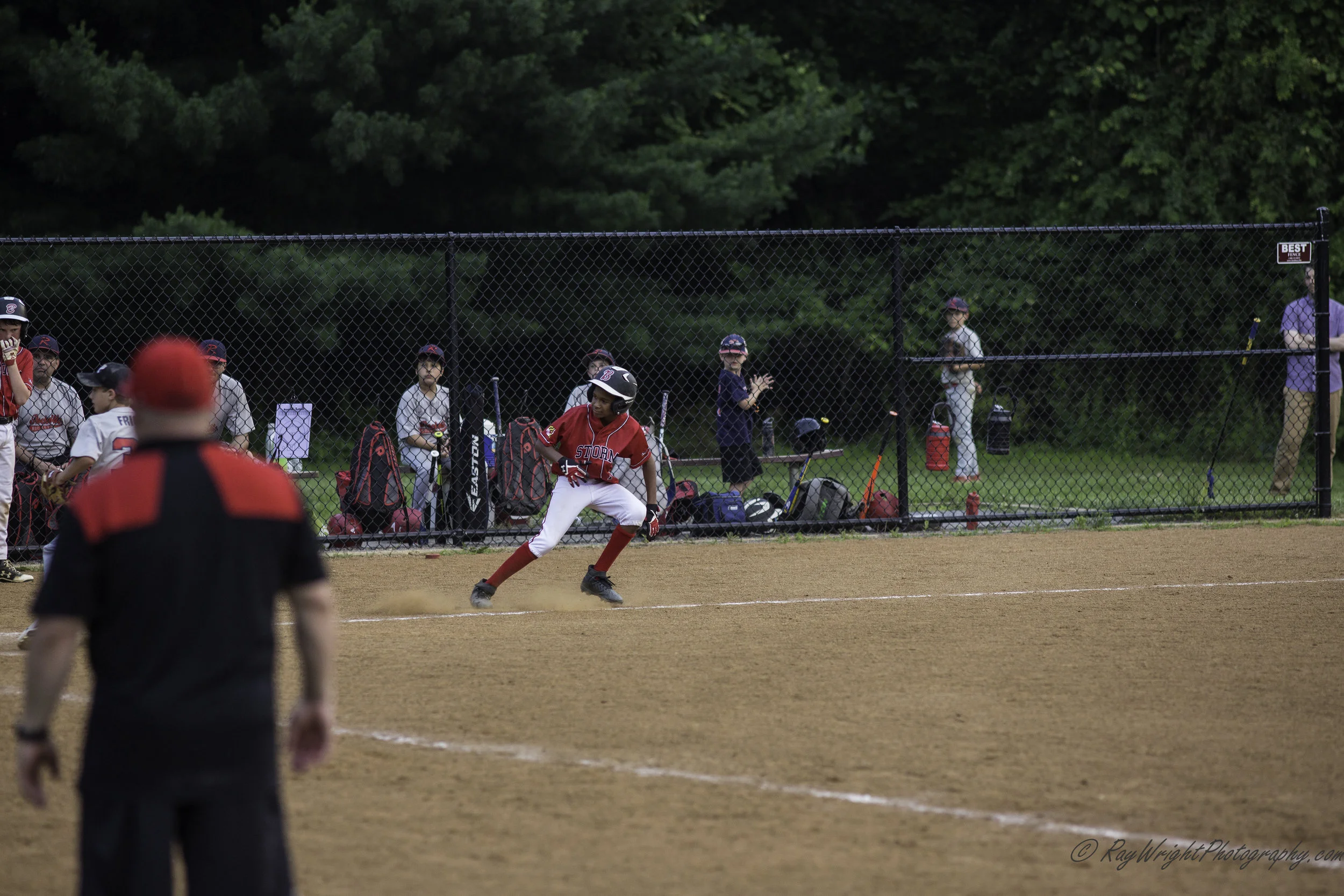 Baseball in June 178.jpg
