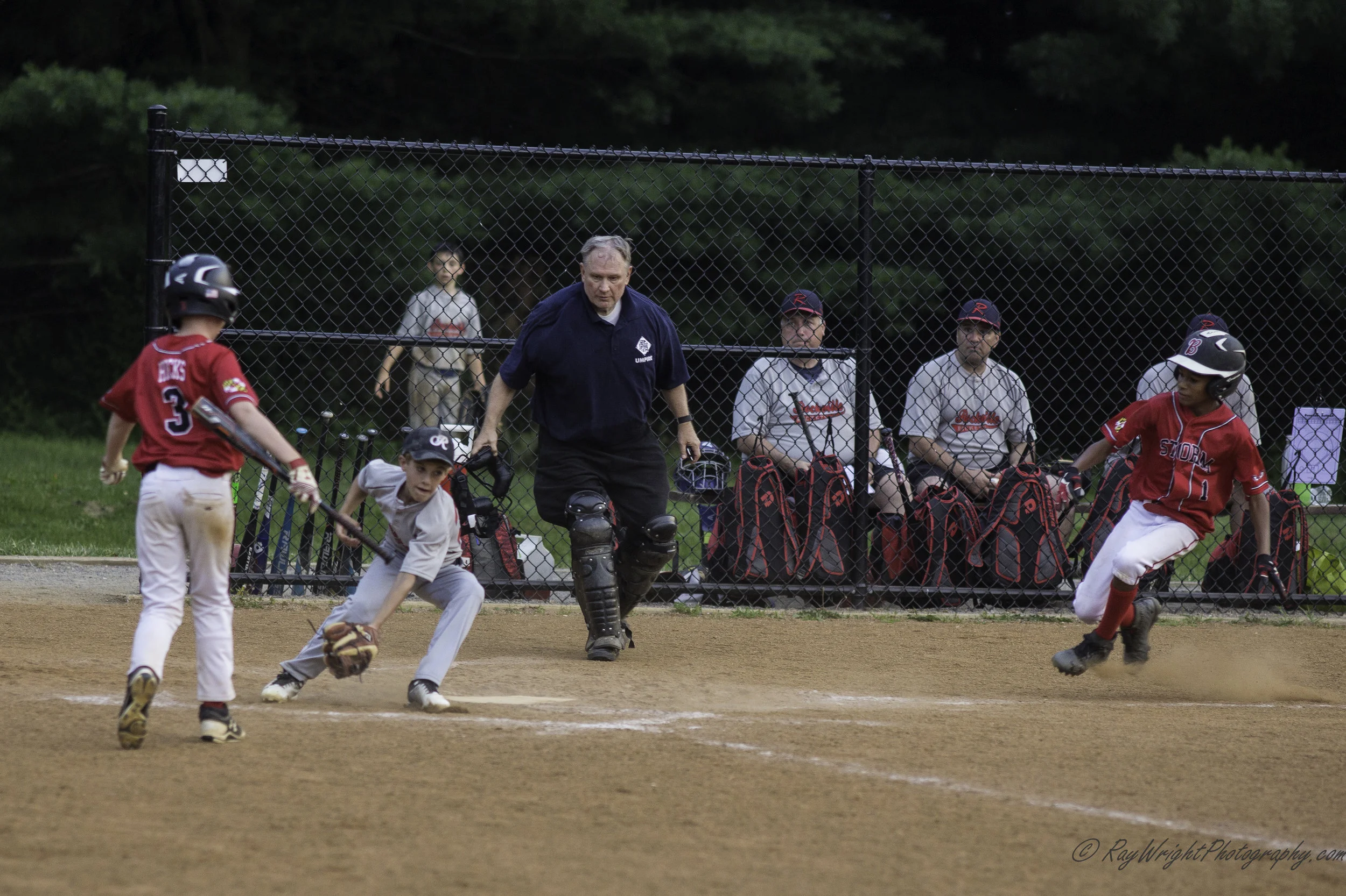 Baseball in June 182.jpg