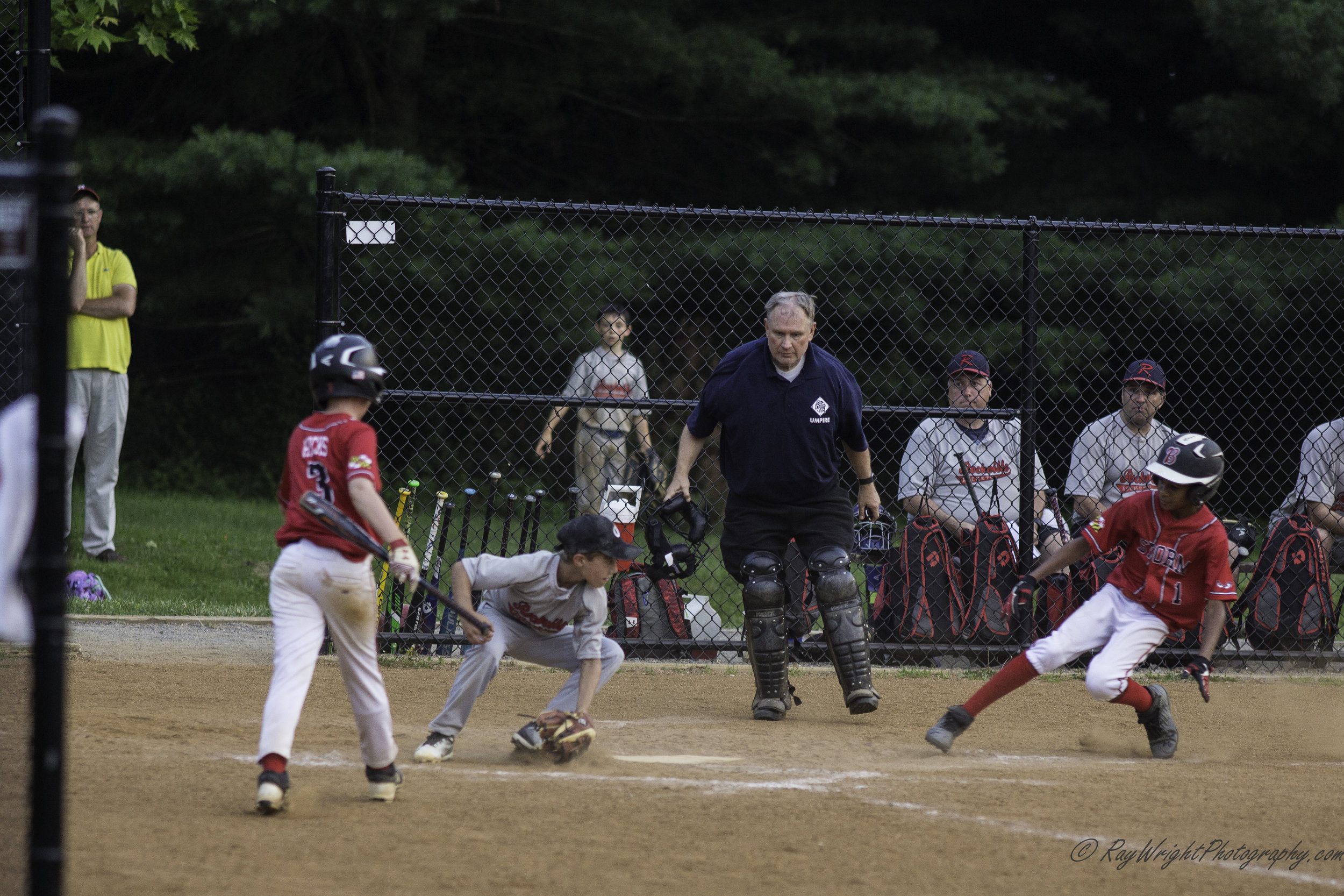 Baseball in June 183.jpg