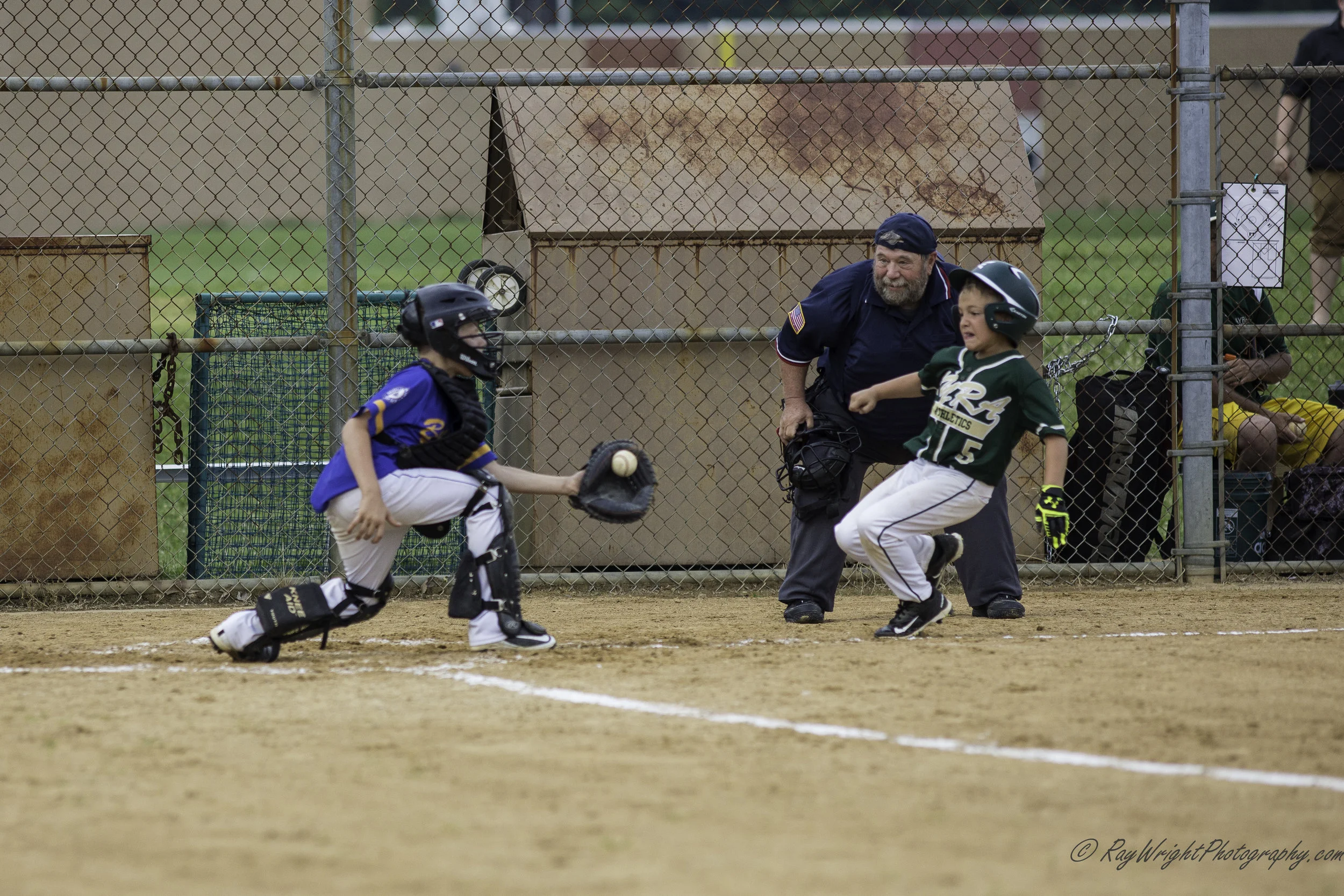 Baseball in June 227.jpg