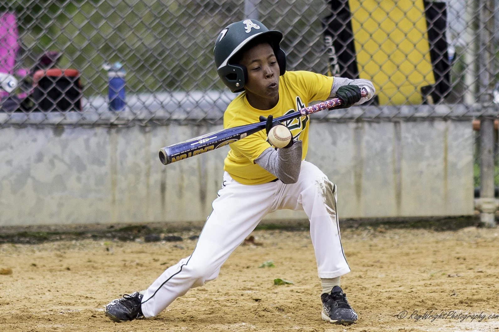 Weekend Baseball 664.jpg