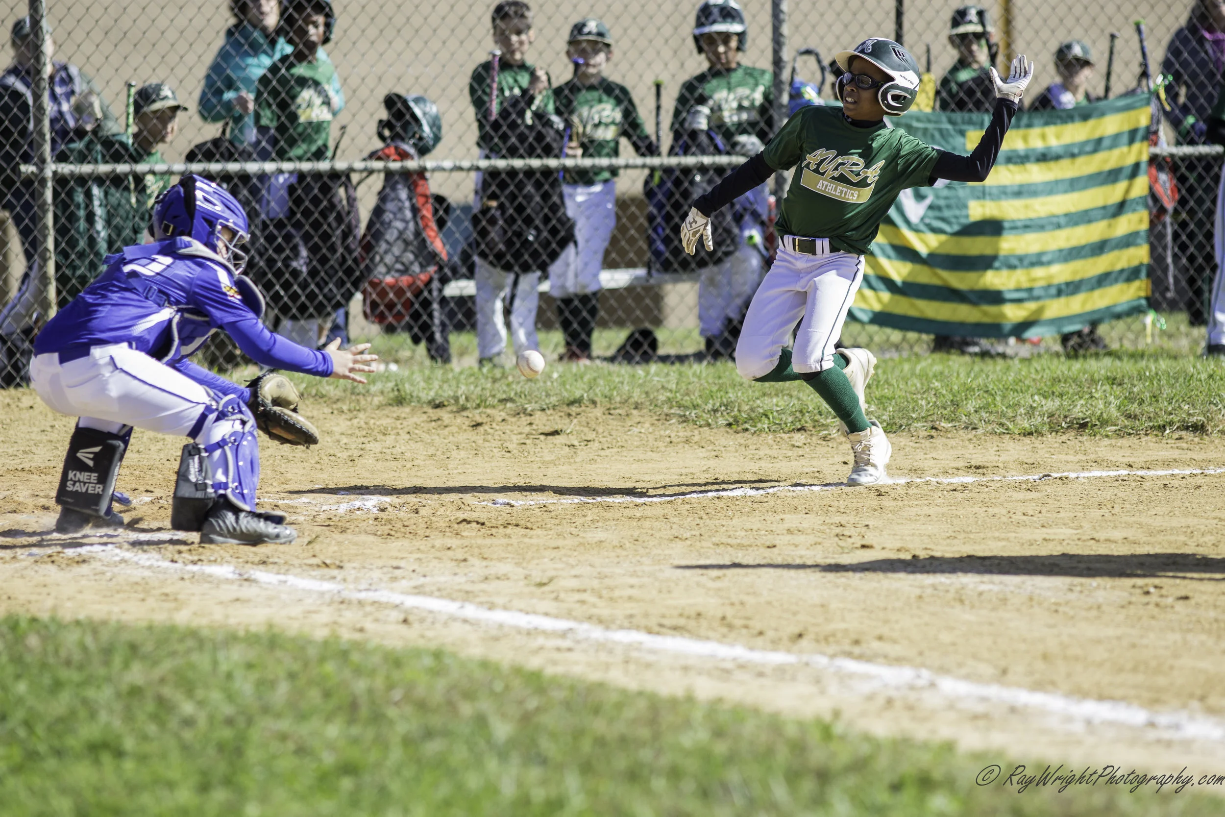 Weekend Baseball 1217.jpg