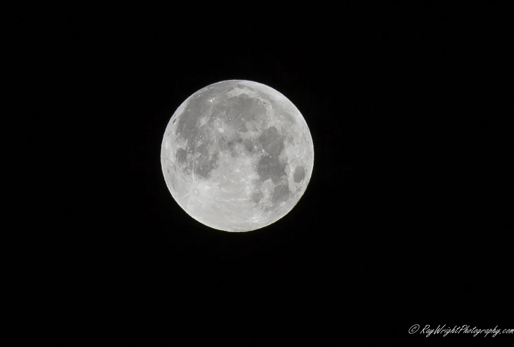 January 2018 Blue Moon 017.jpg