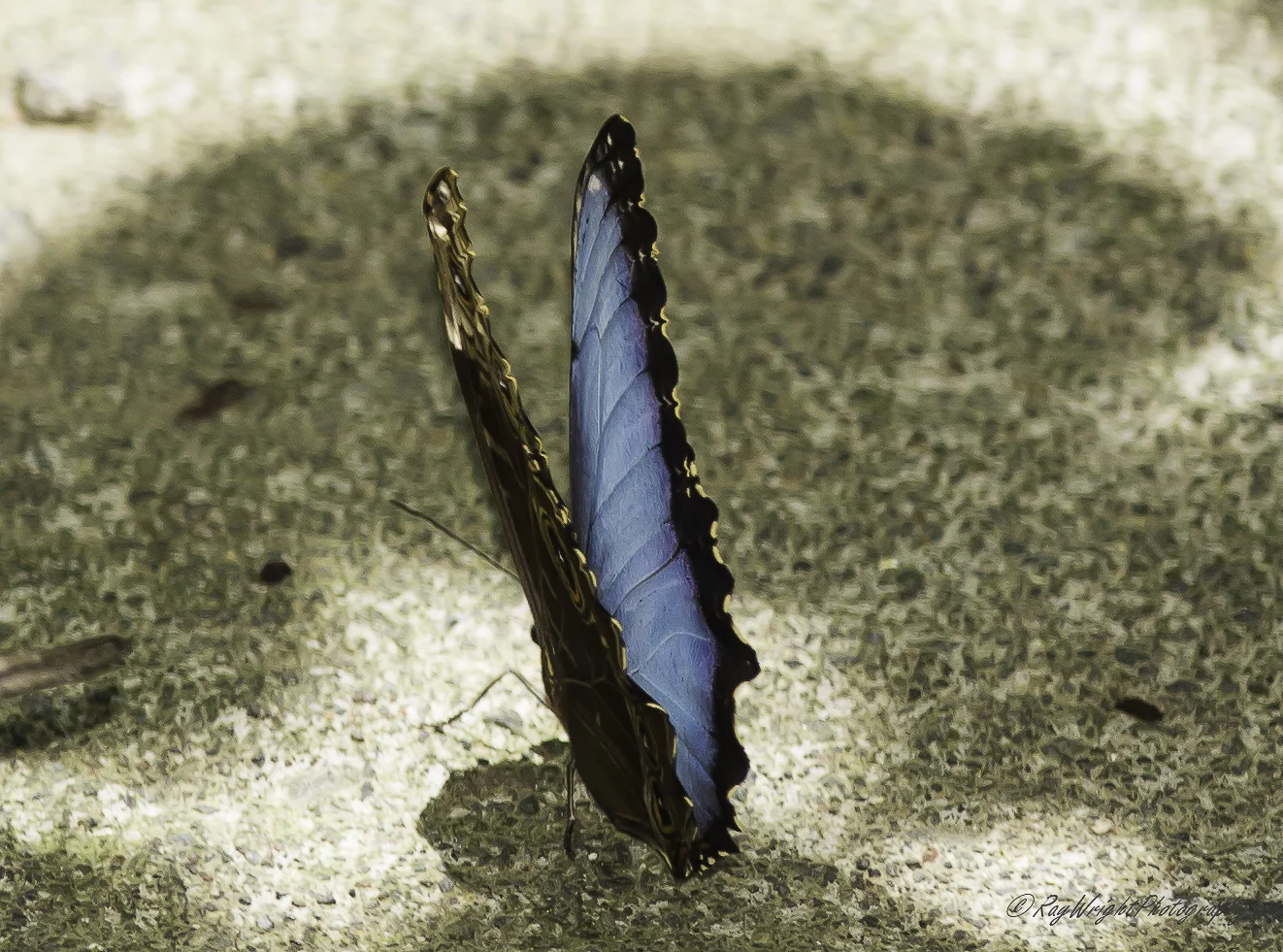 2014 Costa Rica Vacation 188.jpg