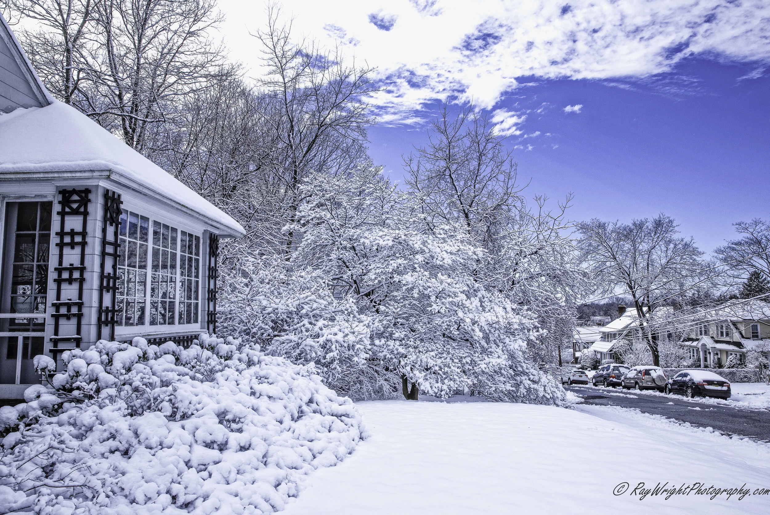~1549677897~After Snowstorm 016-Edit-2.jpg