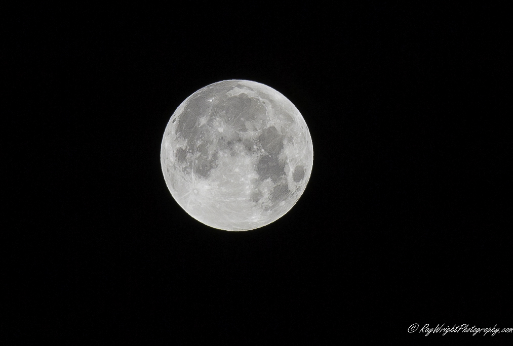 January 2018 Blue Moon 017.jpg