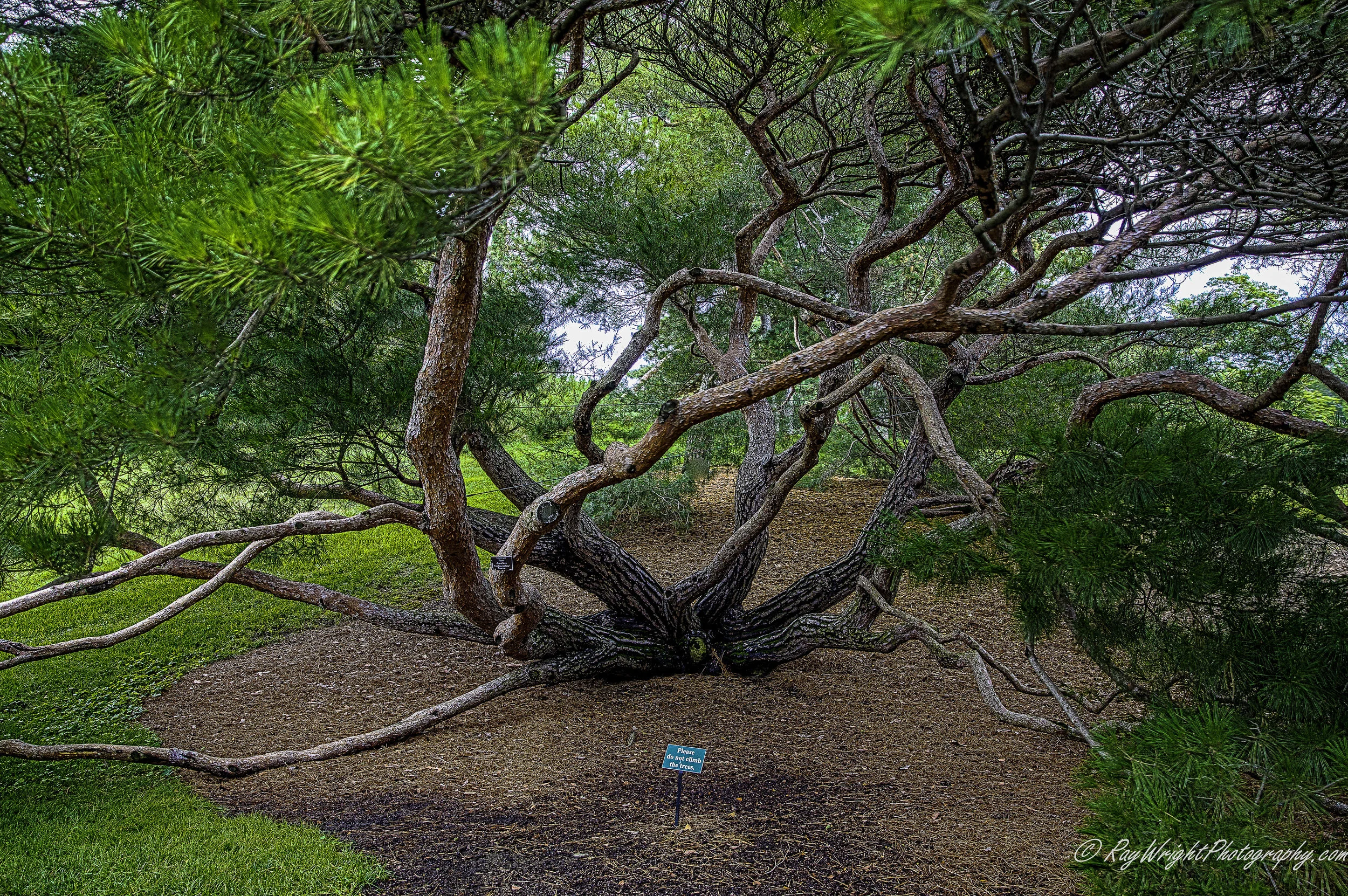 NY Botanical Gardens 001-Edit.jpg
