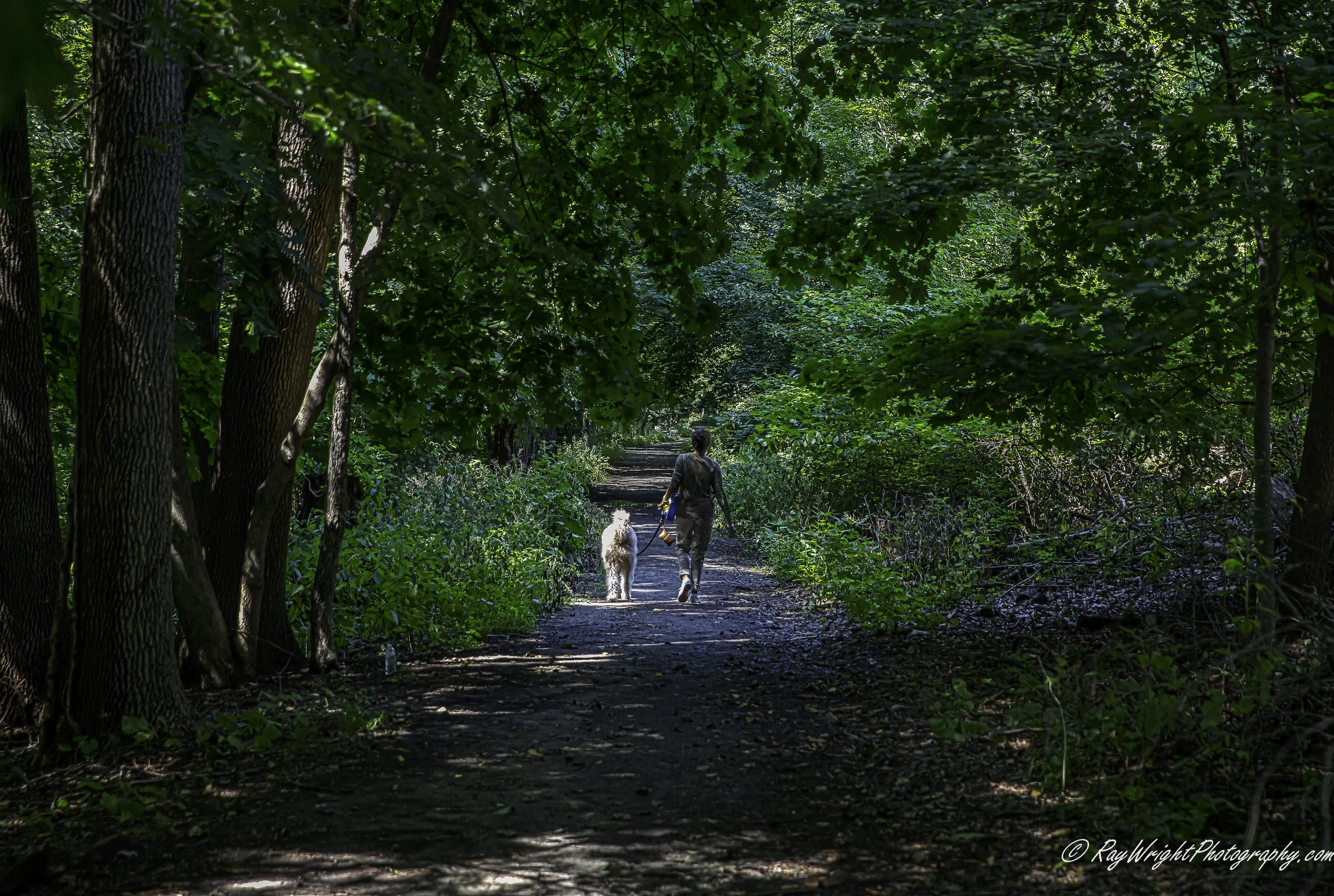 NY Botanical Gardens 065-Edit.jpg