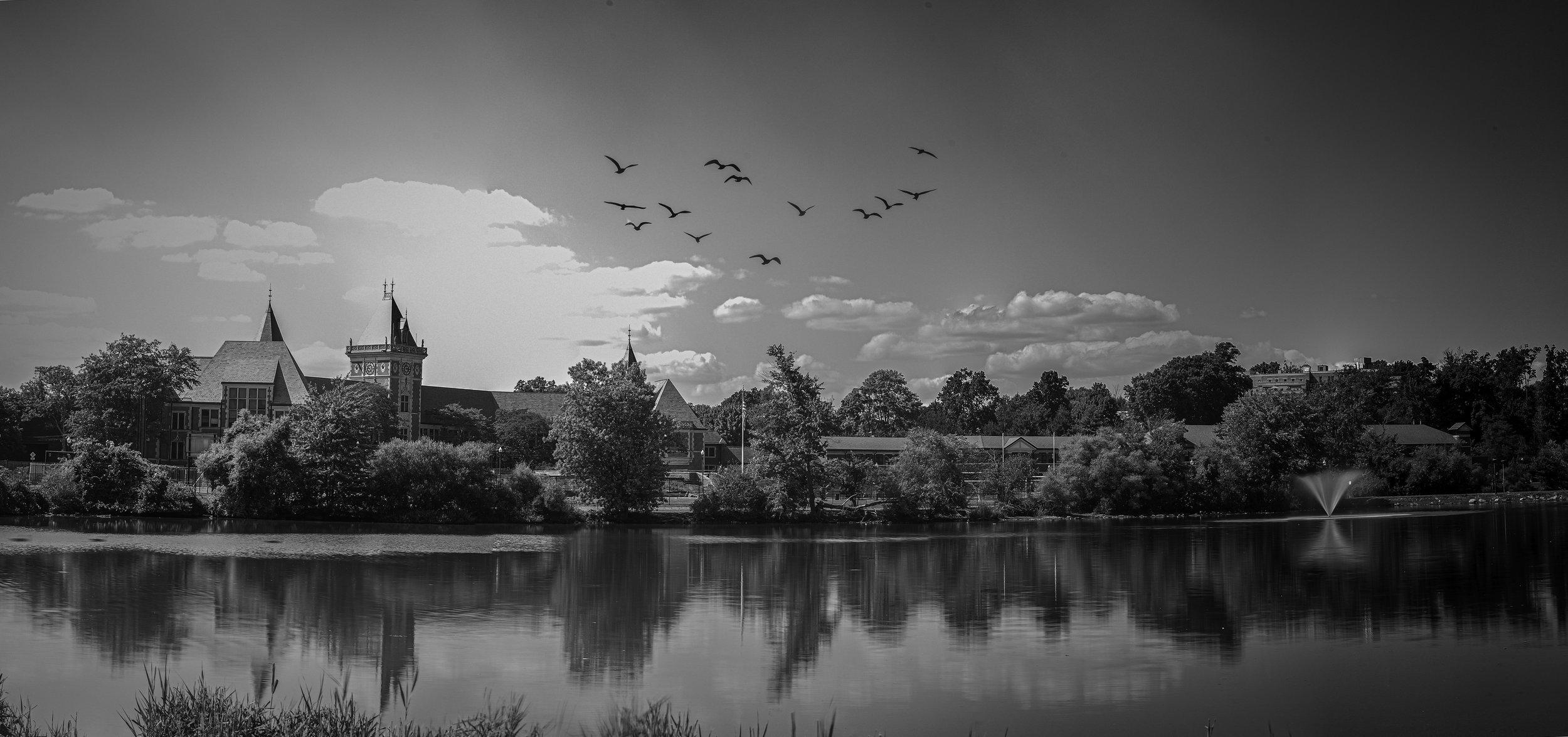 _MG_0684.jpg