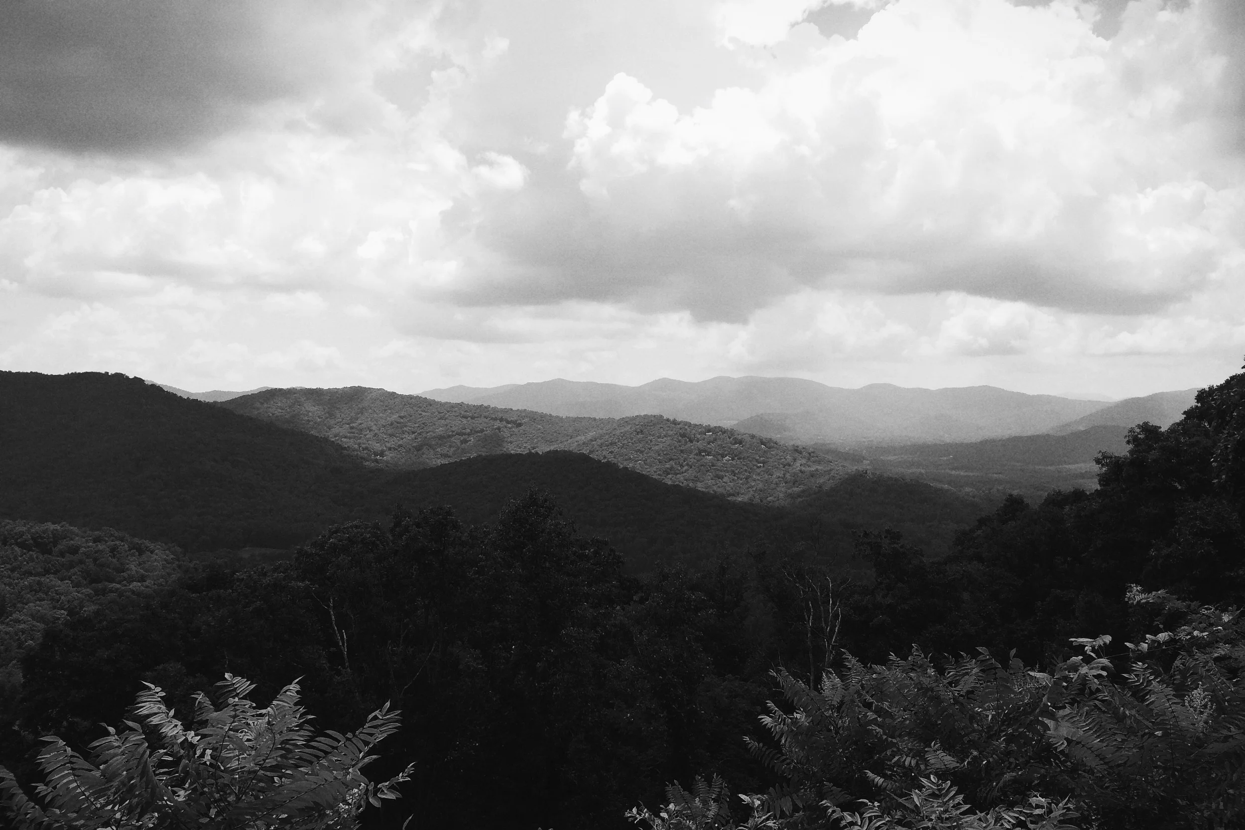 On the Blue Ridge Parkway.