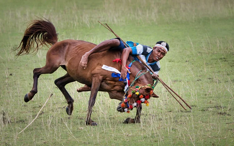 Pasola Rider - Pia Jessen.jpg