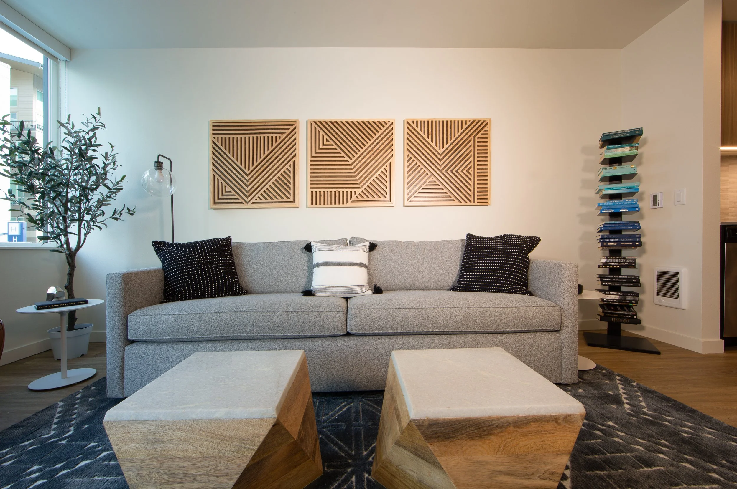 BLACKBIRD MODEL 3.jpg