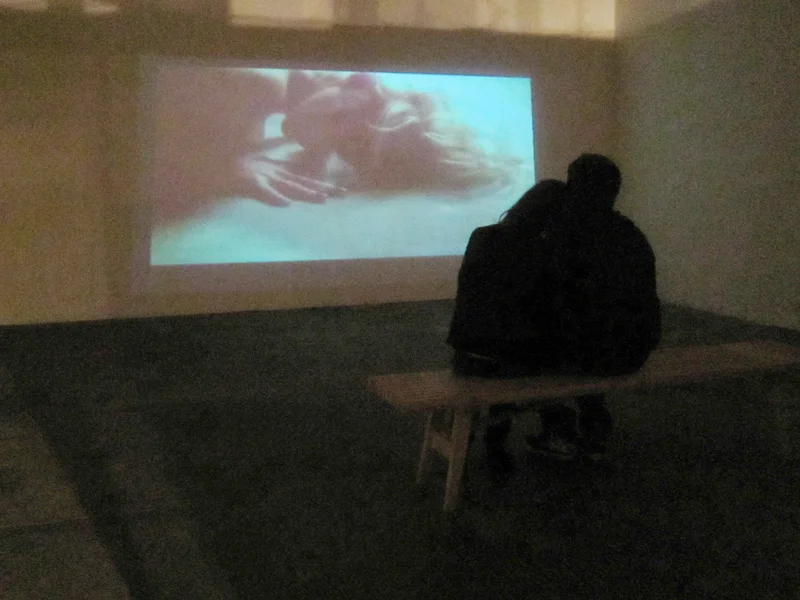 I love this photo I grabbed while my video was running during the OCCA exhibition. It shows the intended response my video was to evoke. Slow down, feel sensual, love someone, love yourself.
