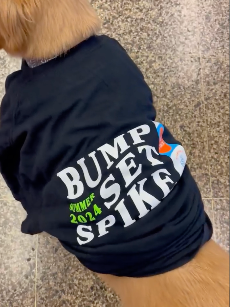 Screenshot 2026-04-05 at 3.23.19 AM.png