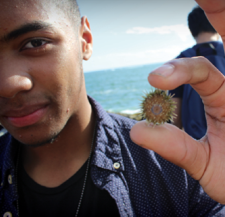 Screen Shot 2015-07-08 at 10.45.46 AM.png