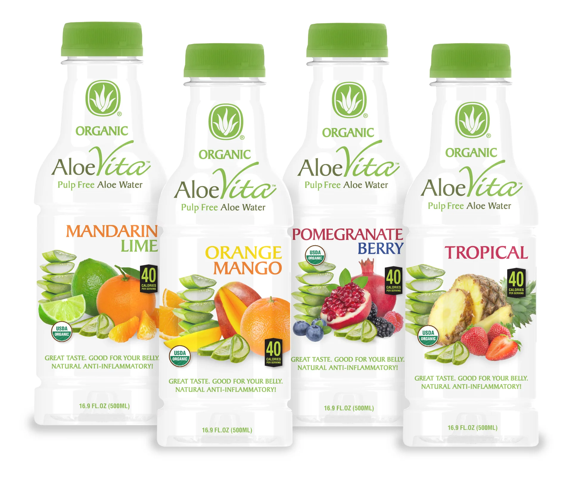 AloeVita 17oz Organic Water Bottles