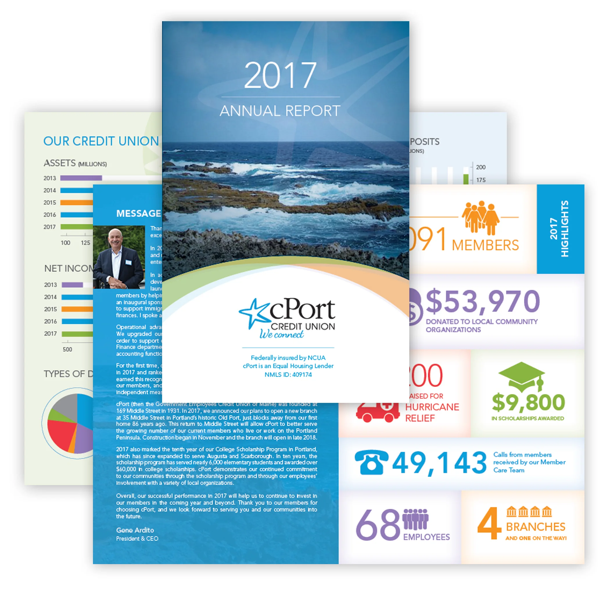 2017 Annual Report