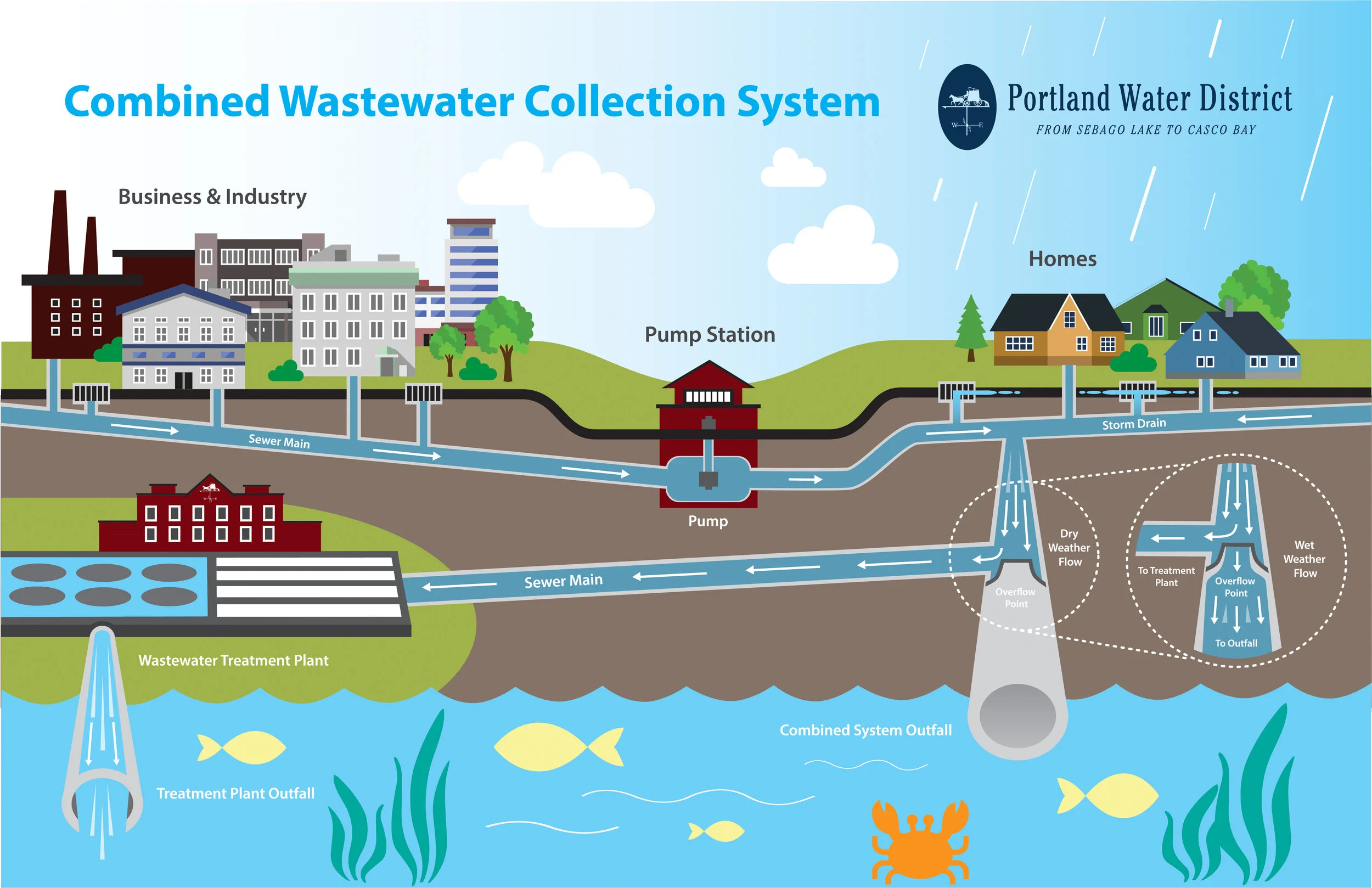 Internal Display Infographic