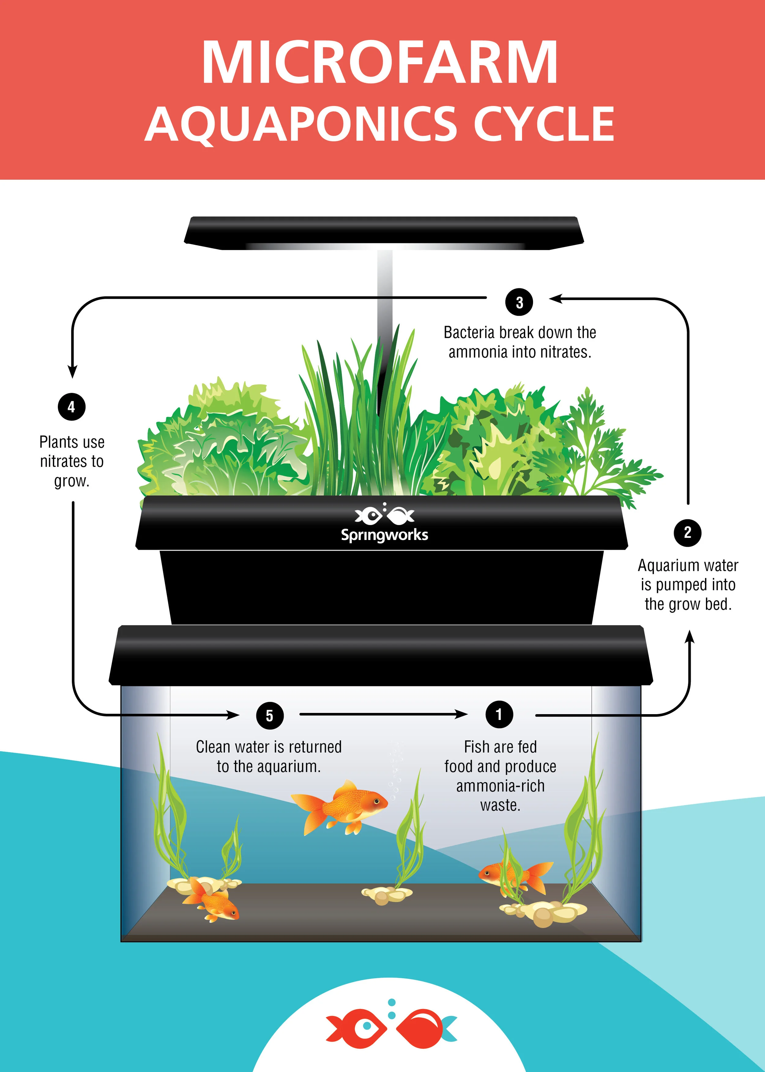 Exhibit Infographics