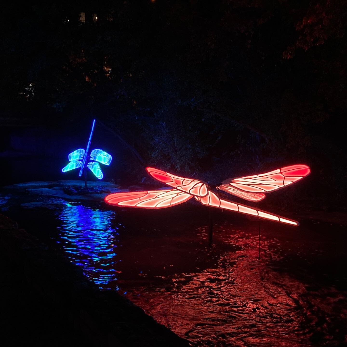 Last weekend of #creekshow ! We&rsquo;re very grateful to have been chosen to be part of this experience ❤️ 

Enter the Dragonfly is the name of our installation. We chose dragonflies for our concept, because they are an important indicator species f