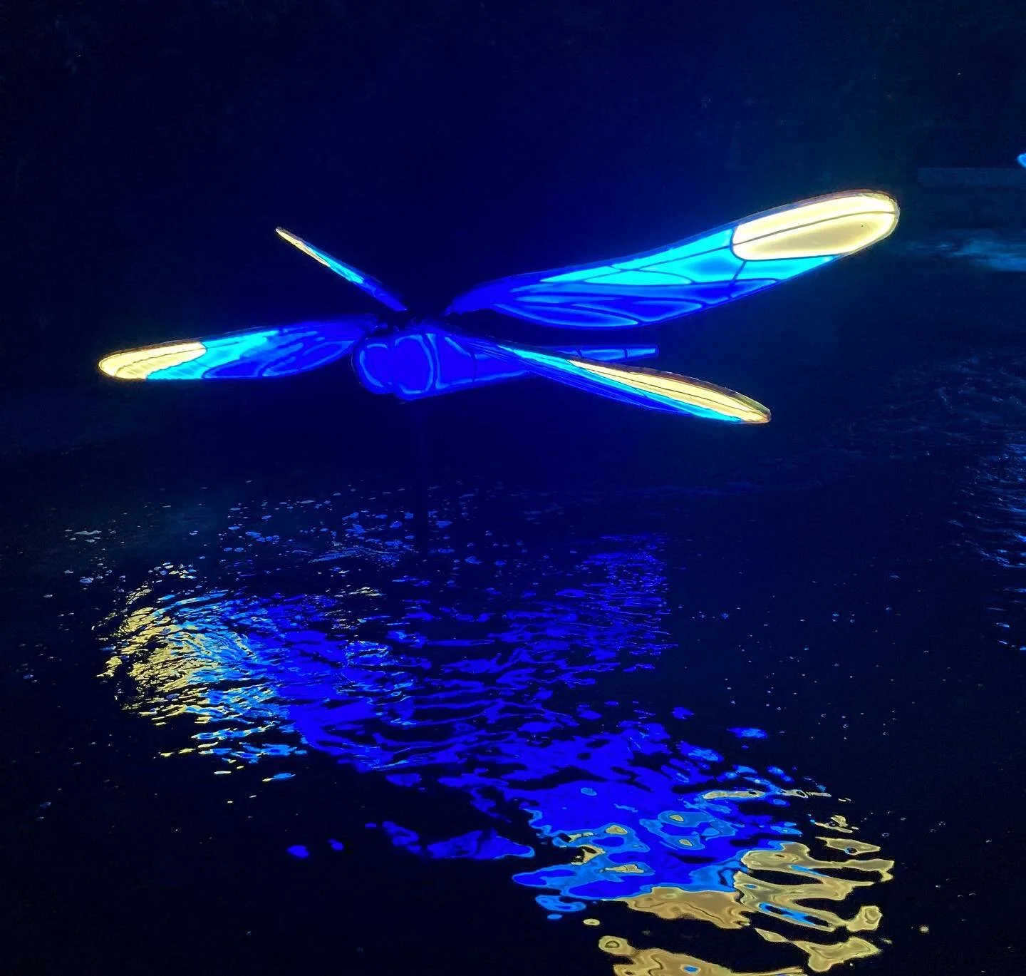 My husband & I designed & built an installation for #creekshow this year. Our months long project is finally going to be on view tonight in Waller Creek hosted by @waterloogreenway 
So many feels, so many thanks 💕 Please check it out if you