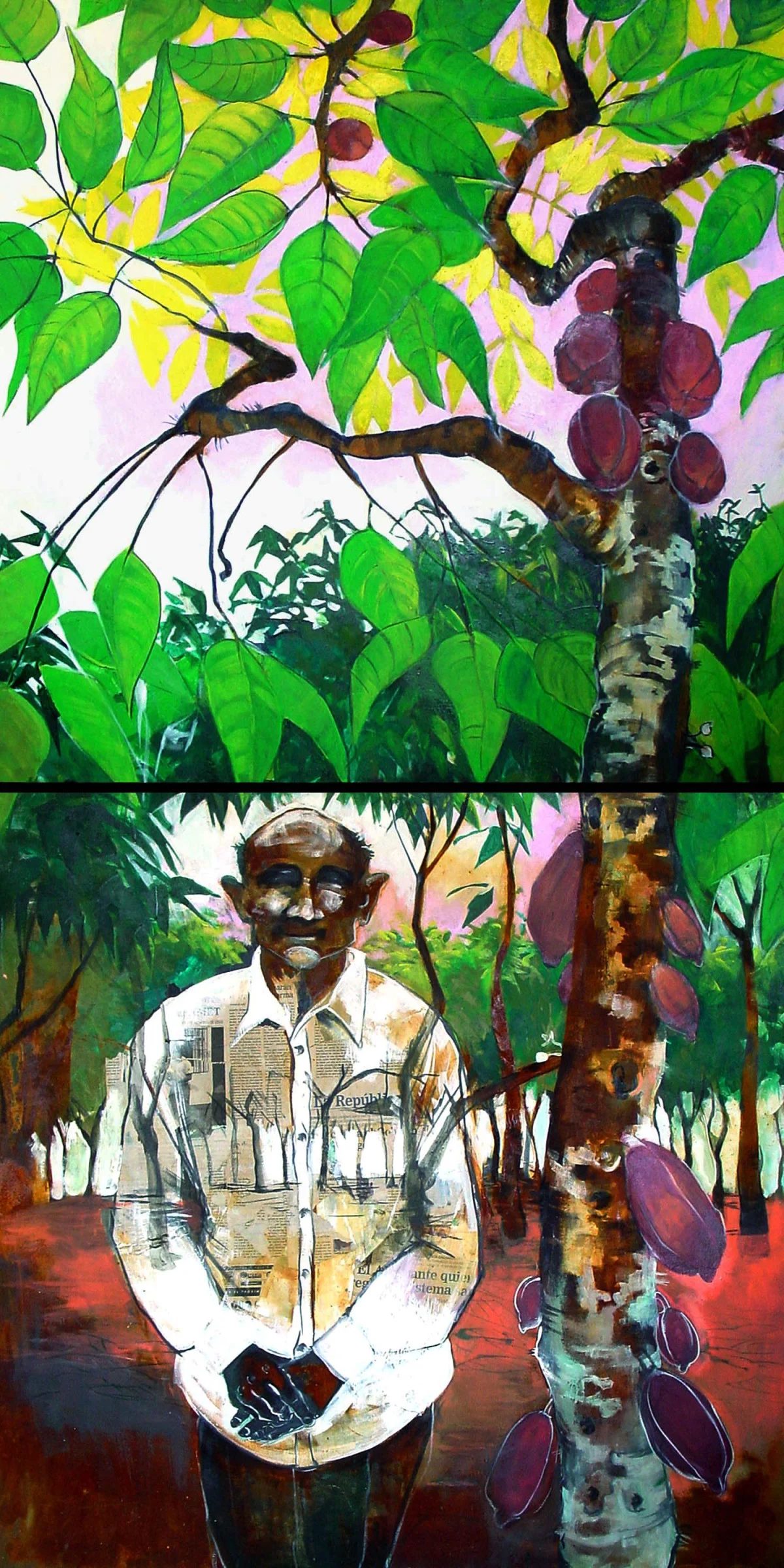 Old Cocoa Farmer