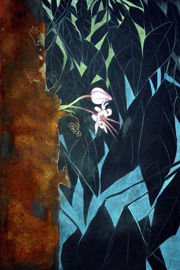 Cocoaflower